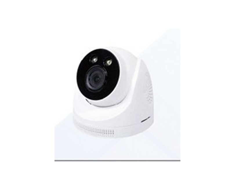 IPC-DS8204DIP - LeadVision Dome Camera